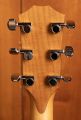 Taylor Academy 10e LTD Koa/Spruce