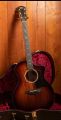 Taylor 224ce-K DLX Shaded Edgeburst