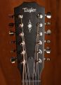 Taylor 354ce 12-String