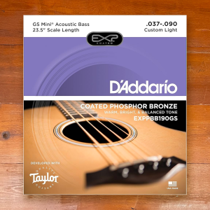 D'addario 73-90 Acoustic Bass GS Mini EXPPBB190GS