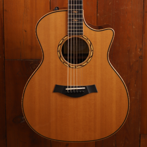 Taylor Cocobolo GA-LTD