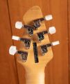 Peavey HP-2 Poplar Burl Series - Van Halen Natural - Floyd