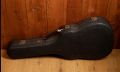 Epiphone FT-200 Frontier
