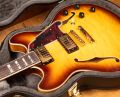 D'Angelico Excel DC XT Iced Tea Burst, Quilted Maple