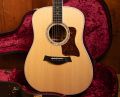 Taylor Legacy 810e