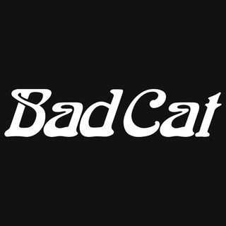 Bad Cat